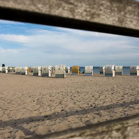 Meeresrauschen Duenenrose *