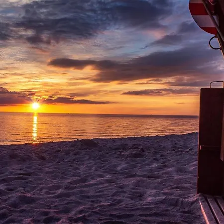Meeresrauschen Dünenrose