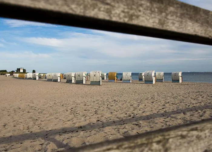 Meeresrauschen Duenenrose *