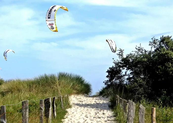 Meeresrauschen Duenenrose *